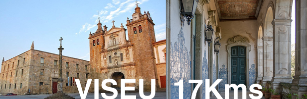 Se está em Viseu venha visitar o Palácio dos Condes de Anadia